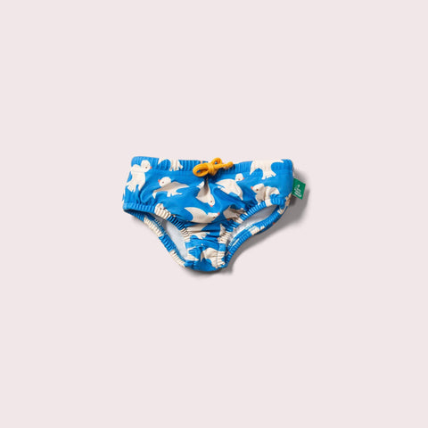 Pannolino da nuoto riutilizzabile per immersioni e spruzzi: Immersioni e spruzzi / 2-3y
